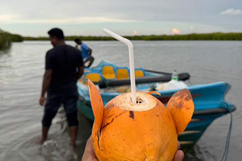 Tour en barco al atardecer por la laguna de Negombo y el canal holandésTour en barco por la laguna de Negombo y el canal holandés al atardecer