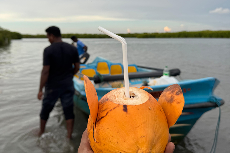 Tour en barco al atardecer por la laguna de Negombo y el canal holandésTour en barco por la laguna de Negombo y el canal holandés al atardecer