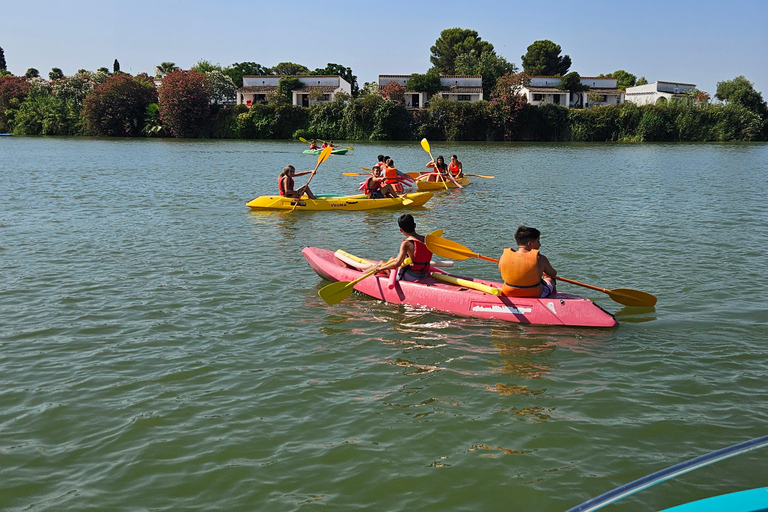 Cádiz: 1.5-Hour Kayak Rental