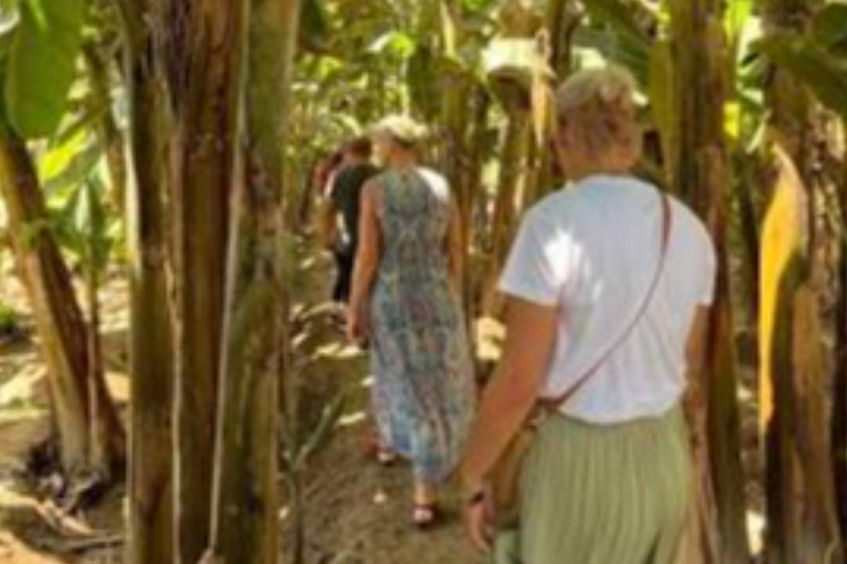 Half Day Tour with Salalah Bread & Transfer Included