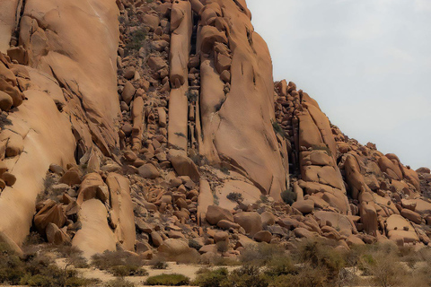 Au départ de Swakopmund : visite guidée d&#039;une jounée à Spitzkoppe