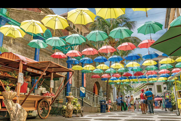 Mauritius: North Highlights Tour with Guide & Transfers