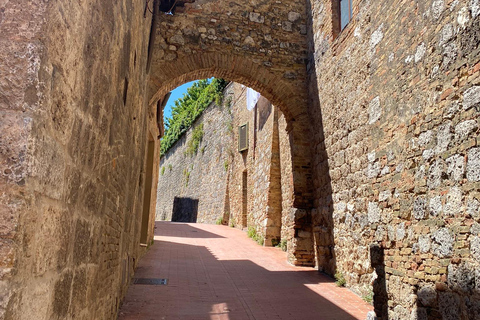Tour di Siena e San Gimignano in van da Lucca o Pisa