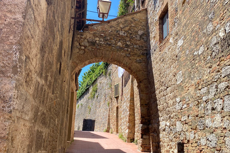 Tour di Siena e San Gimignano in van da Lucca o Pisa