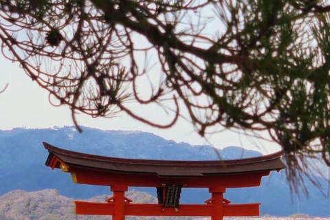 Kyoto & Osaka: Private Customizable Day Trip with Guide