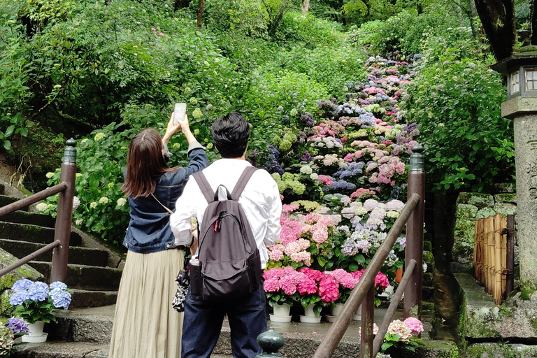 Nara: Entdecke die riesige Kannon-Statue und den Tempel am Steilhang von HasederaNara: Entdecke die riesige Kannon-Statue und den Tempel am Steilhang in Hasedera