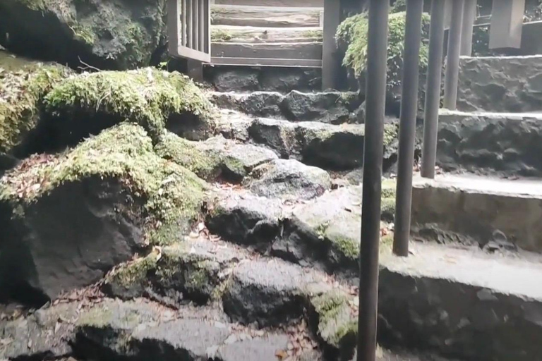 Haunted Hospital for Bravest Ghost Hunters & Silent Forest