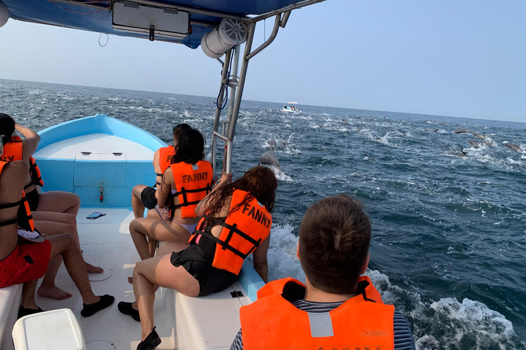 Puerto Escondido: Bootstour zu Delfinen und MeerestierenPrivate Tour