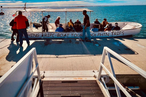 Algarve: Open Jeep Adventure, Flamingos & Ria Formosa Trip