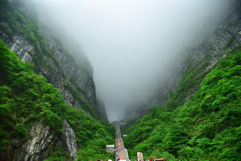 Zhangjiajie: National Forest Park & Charming Xiangxi Ticket 4-Day Park Ticket and Charming Xiangxi Show Ticket C