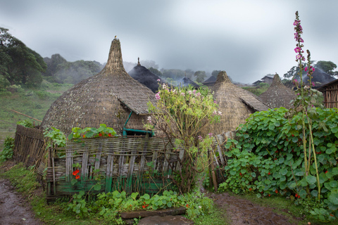 Addis Ababa: 4-Day Bale Mountains Adventure Tour