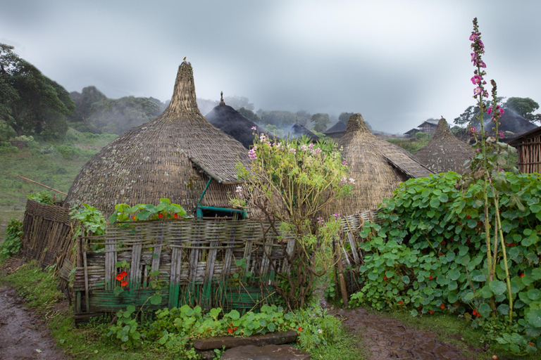 Addis Ababa: 4-Day Bale Mountains Adventure Tour