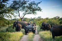 3 días un carrito de cráter Safari Safari Tour - Housity