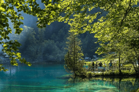 Depuis Zurich : Excursion d&#039;une journée au lac Blausee et au charmant Interlaken