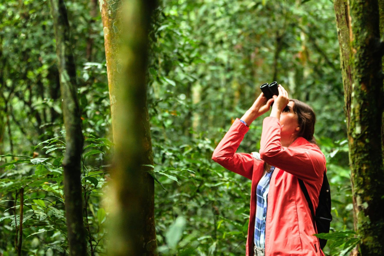 Zagreb: Wissenschaftliche Touren, Zagreat Outdoors