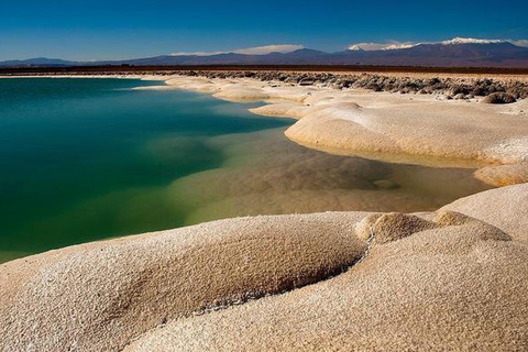 Excursión a las Lagunas de Cejar y Tebenquiche con Ojos del Salar Atacama