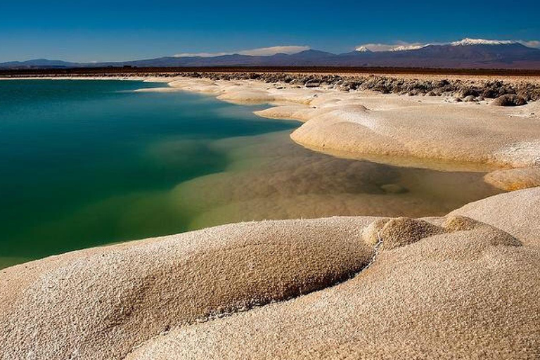 Excursión a las Lagunas de Cejar y Tebenquiche con Ojos del Salar Atacama