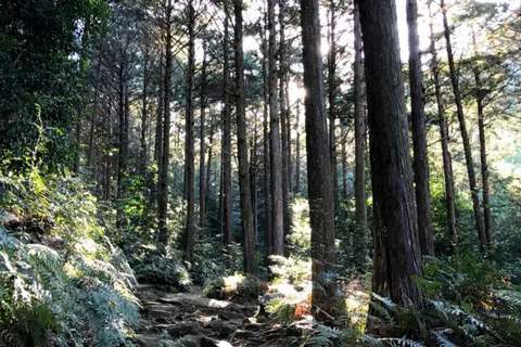 Nagoya: Ceramic Coast & Forgotten Islands Tour