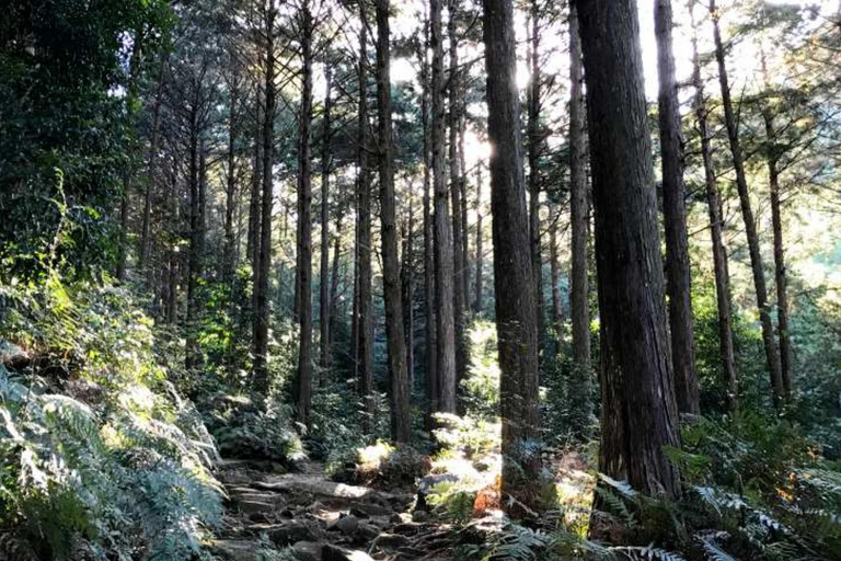 Nagoya: Ceramic Coast & Forgotten Islands Tour