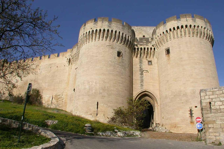 Avignon & Villeneuve-lès-Avignon: Guided Tour in a Tesla