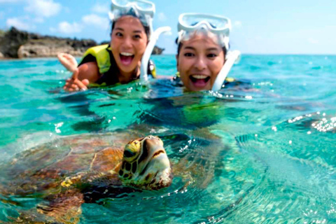 Bali: Blue Lagoon & Tanjung Jepun Snorkeling Tickets Snorkelling only ( NO Lunch Option )