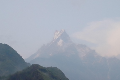 Explorer le Mardi Himal : Un trek de 5 jours Points forts de l&#039;observation des oiseaux