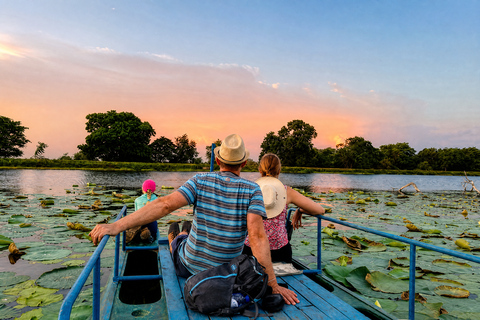 Kandy: Sigiriya & Dambulla Drop Tour by Car with Guide
