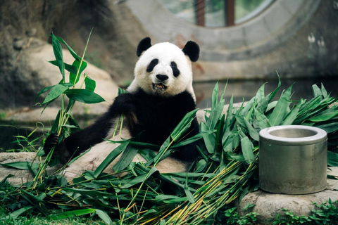 Hongkong: Bilet wstępu do parku oceanicznego