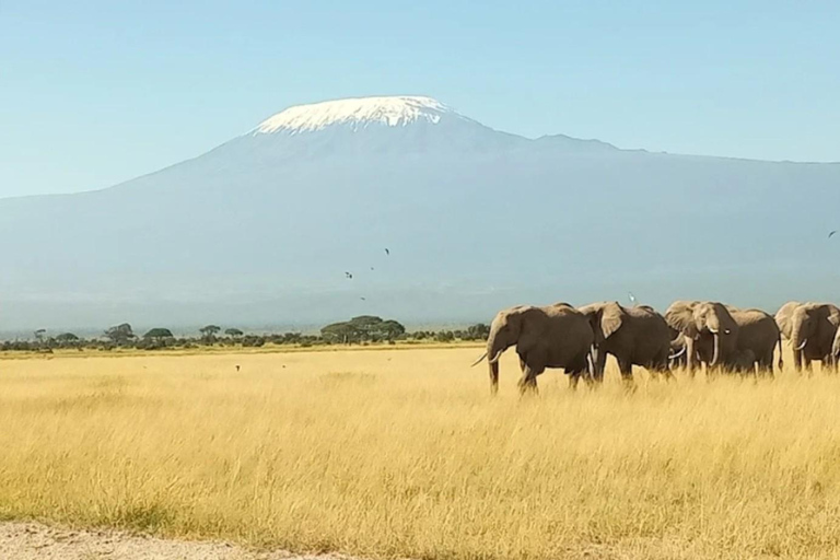 Nairobi: Lake Naivasha & Amboseli National Park 3-day safari L. Naivasha, Hell's gate & Amboseli National Park 3-day tour