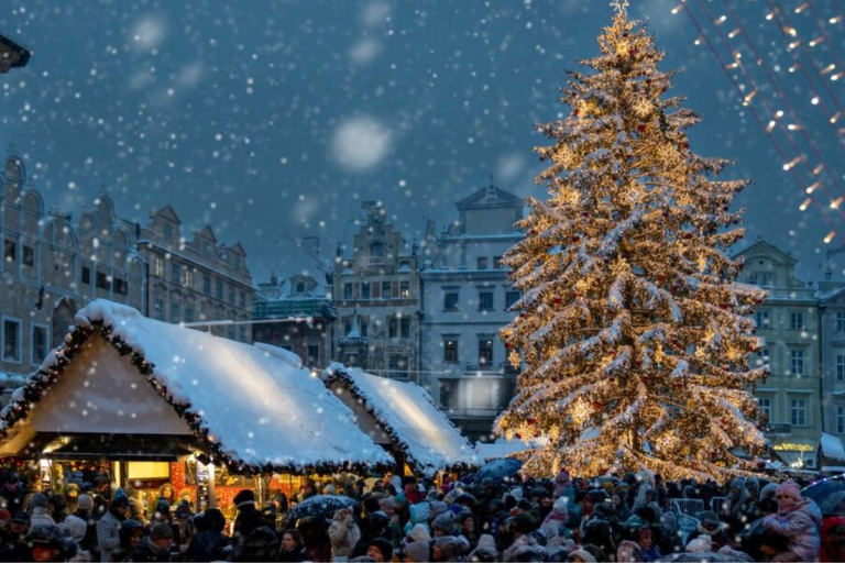 From Wrocław: Exclusive Private Prague Day Trip Private Prague Day Trip With Castle Tickets & River Cruise