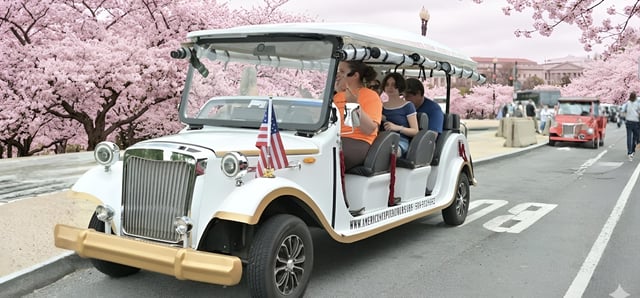 Washington DC:Guided Monuments&amp;Cherry Blossom Tour by E-Cart