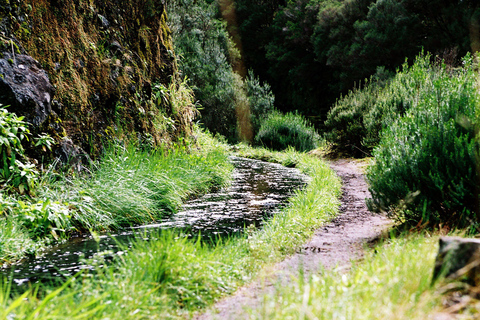 Rabacal Nature Walk: Lakes & Fountains Pickup Funchal, Calheta, Ribeira Brava