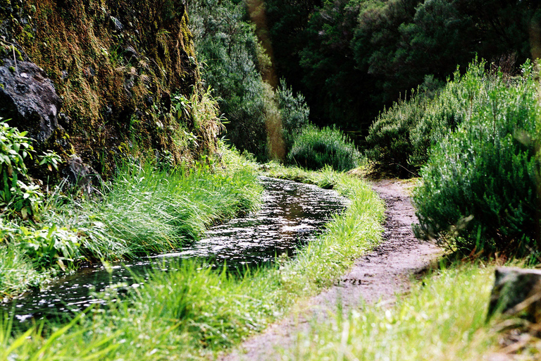 Rabacal Nature Walk: Lakes & Fountains Pickup Funchal, Calheta, Ribeira Brava