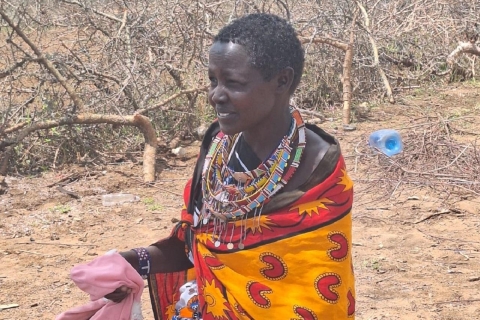 Excursión a la aldea masai desde Nairobi