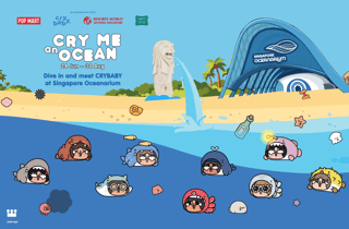 Singapur: Eintrittskarte für das Singapore Oceanarium