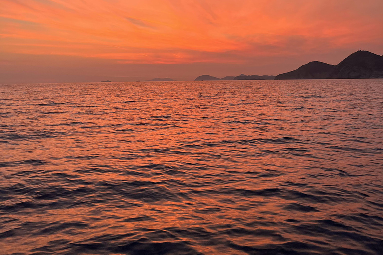 Dubrovnik: Elaphiti Islands Private Speedboat Tour 8 Hours Private Boat Tour - Karnic SL741