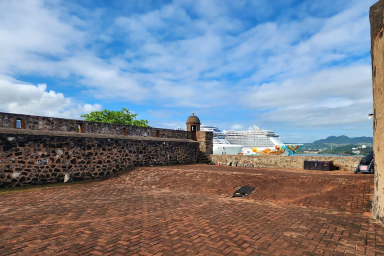 Puerto Plata: Monkey home, Damajagua Waterfalls & City Tour