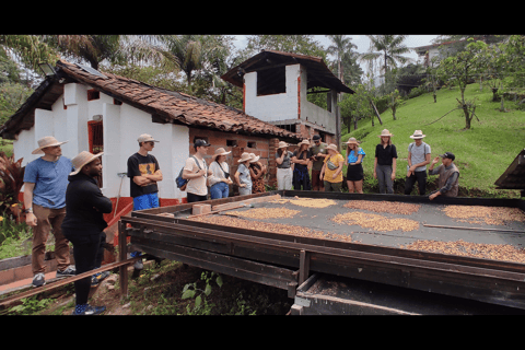 Medellín: Coffee Farm Tour with Tasting Experience
