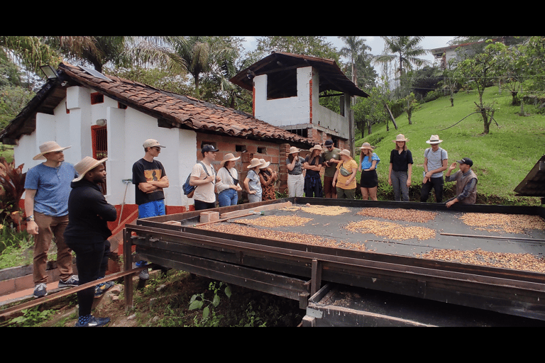 Medellín: Coffee Farm Tour with Tasting Experience