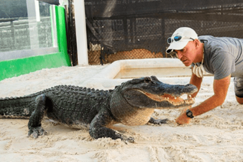 Miami Beach: Everglades Airboat Tours and Rides