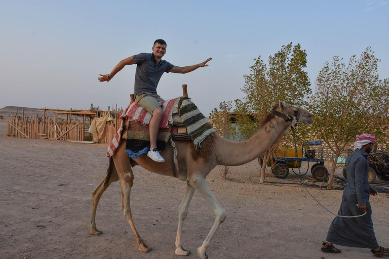Hurghada: Camel Ride & horse ride and Off-Road Jeep Tour pickup from hotels inside hurghada