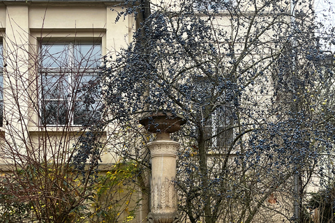 Wild Beauty – A Creative Walk Through Weimar