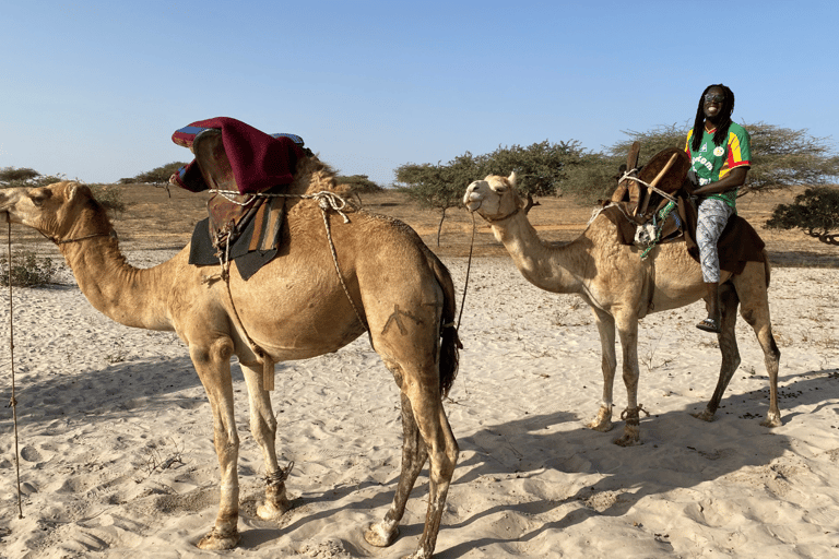 Experience Lampoul: Camel rides, sand dunes and desert safari in Senegal