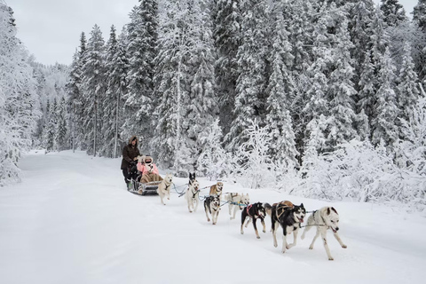 Rovaniemi: Meet Vasco Husky & Enjoy Sled Ride at Husky Farm ⭐ Winter Husky Adventure with Vasco | Jan 1 – Mar 31