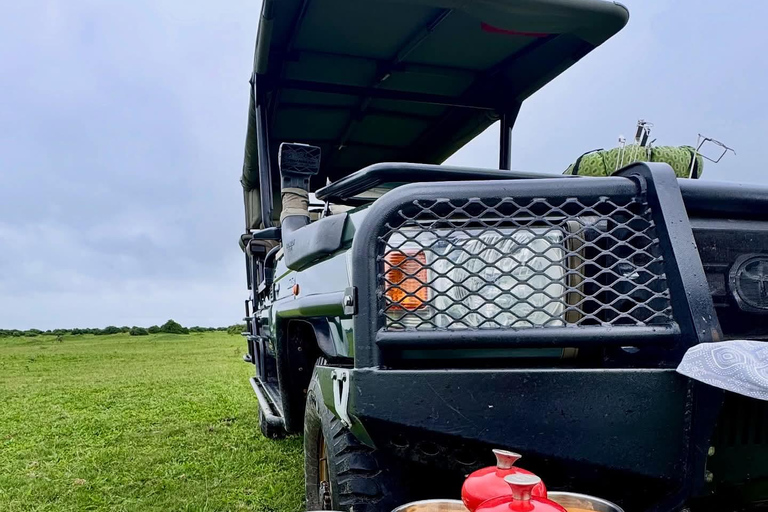 Victoria Falls & Chobe: 4-Day Safari with Lodging