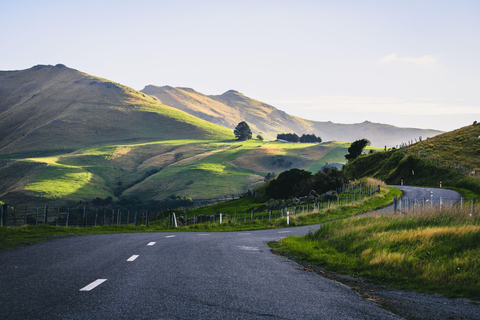 Christchurch: Akaroa i Półwysep Banks - 1-dniowa wycieczka