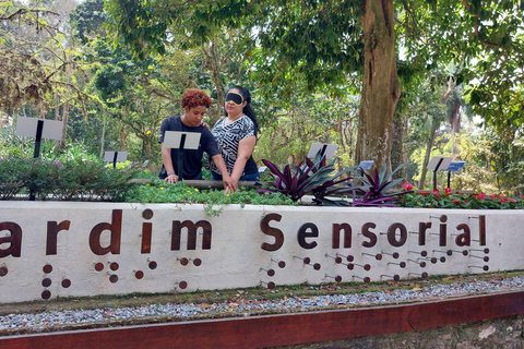 Tropical Wonders: Discover Rio&#039;s Jardim Botânico &amp; Tijuca