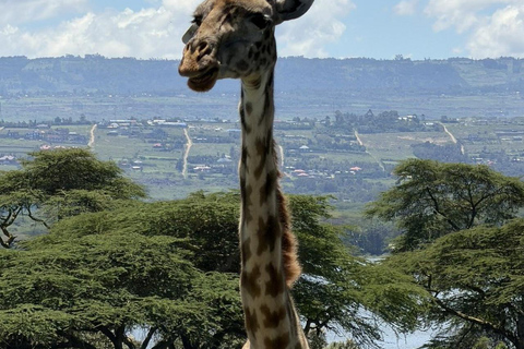 From Nairobi: Hell’s Gate National Park & Lake Naivasha