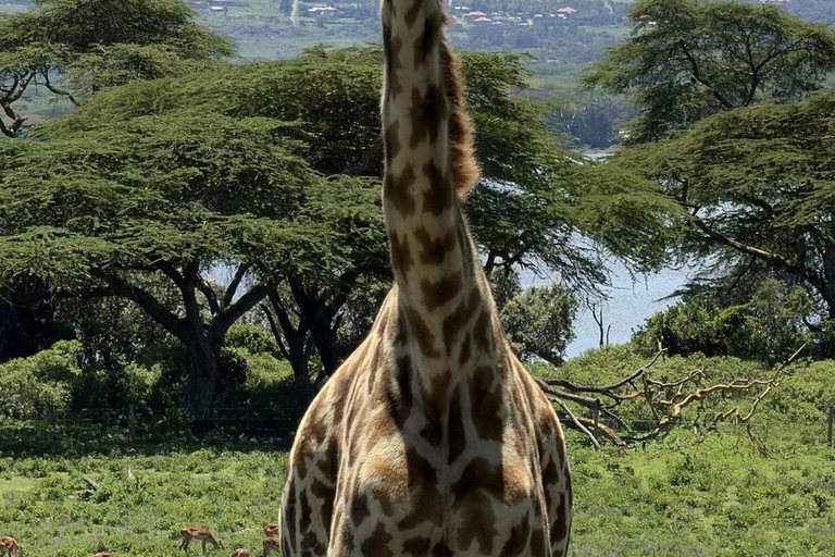 From Nairobi: Hell’s Gate National Park & Lake Naivasha