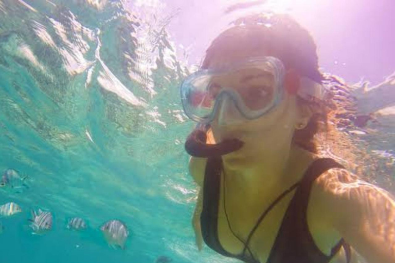 Zanzibar : Lagon Bleu, Étoiles de Mer et Tortues dans la Grotte de SalaamTransfert depuis n'importe quel hôtel à Zanzibar